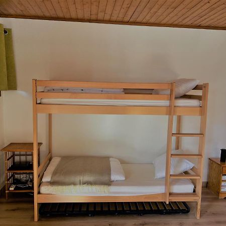 Appartement Edelweiss Chatel Exterior photo